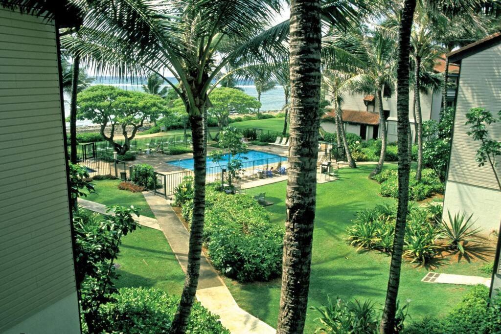1Br Condo At Oceanfront Resort Kapaa Shore Kapa'a Kültér fotó